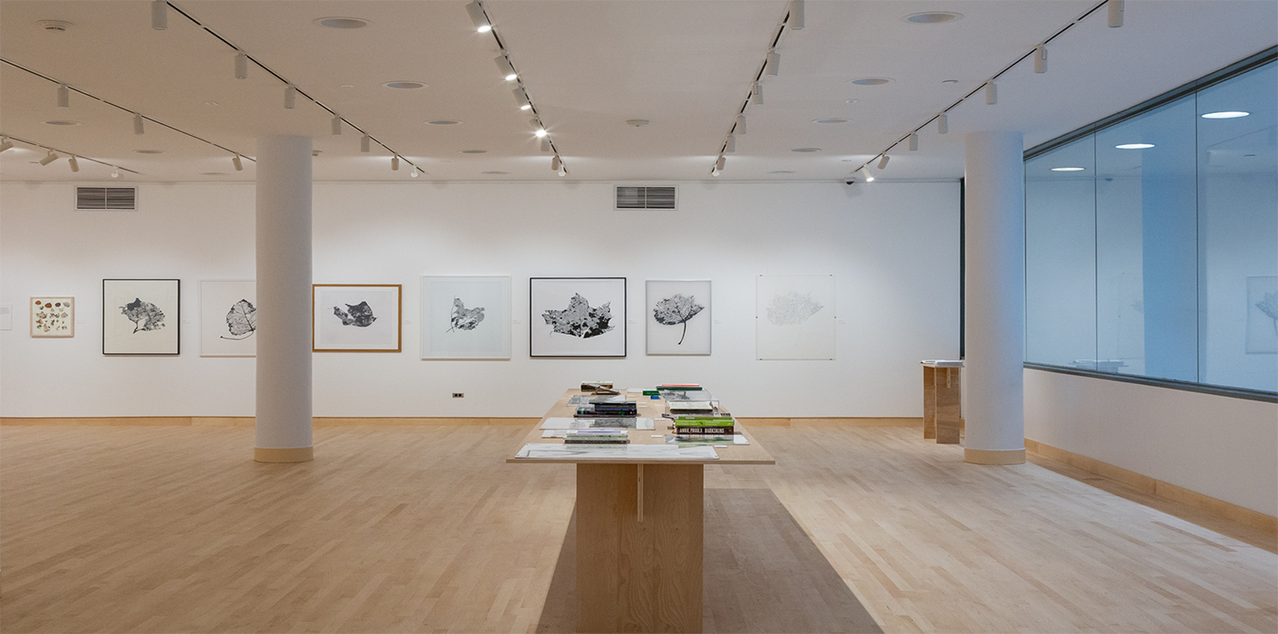 Gallery space with row of maps hanging on the wall