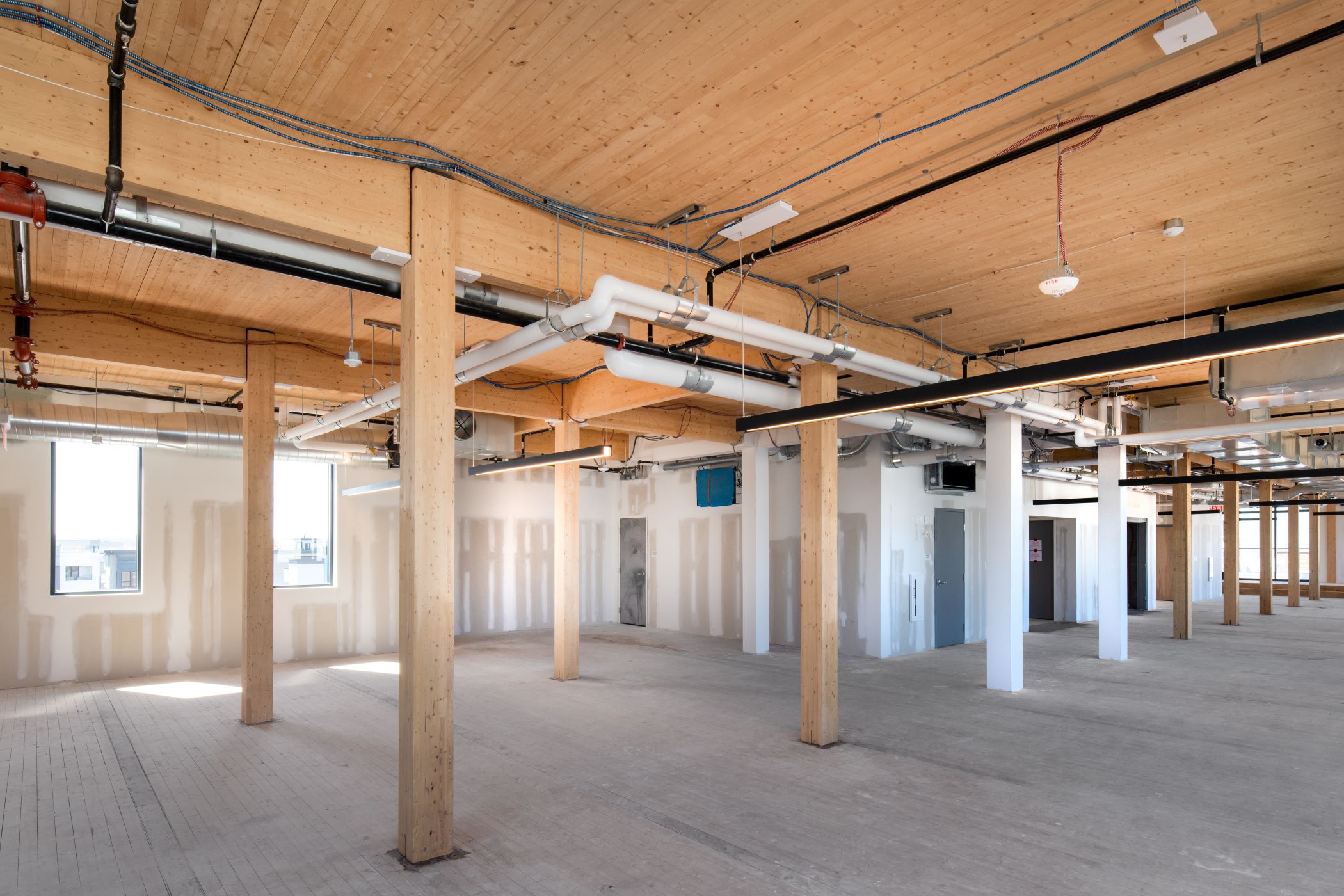 CLT in construction, exposed timber with concrete floor