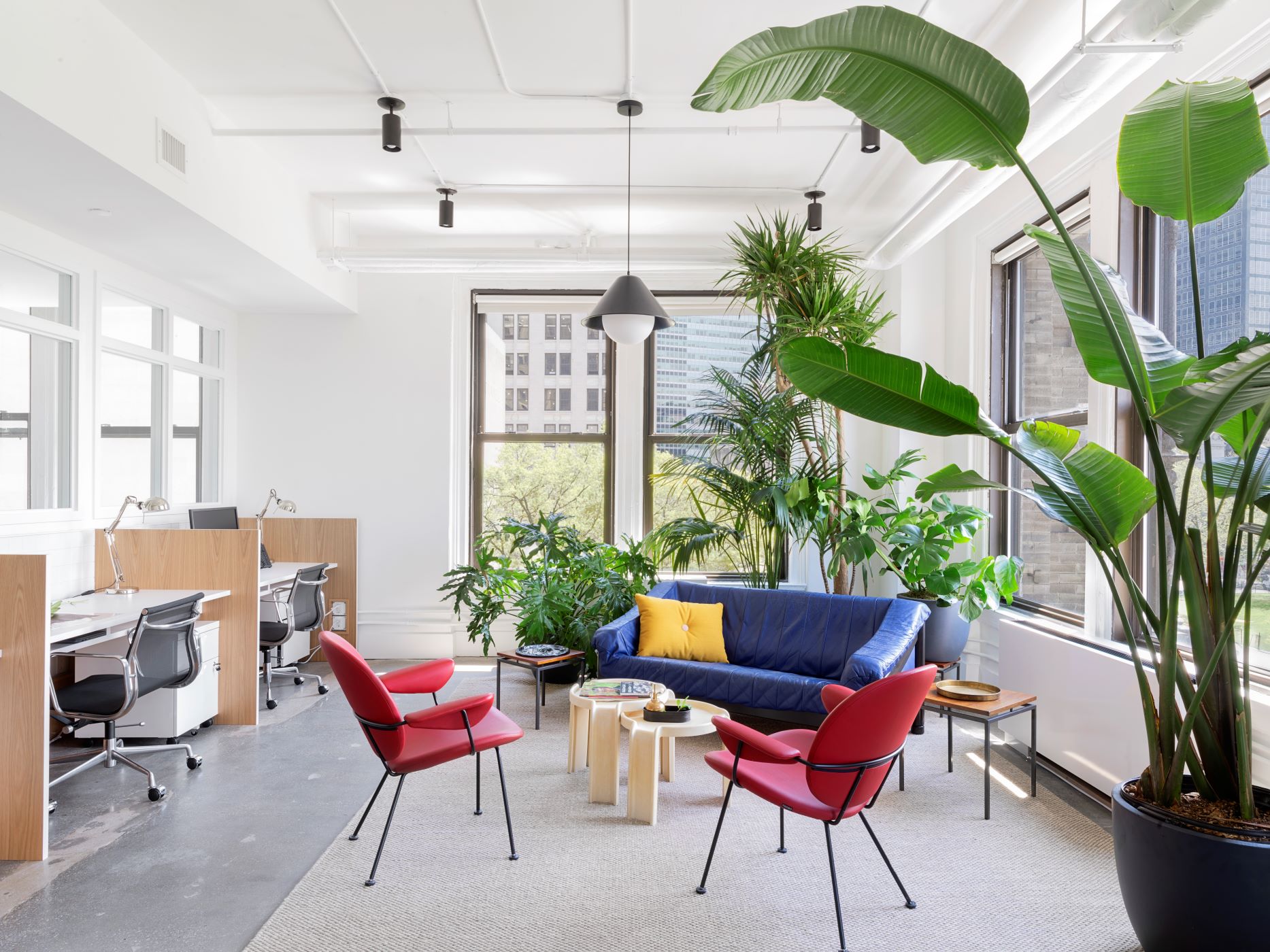 Communal lounge area of an office with plants