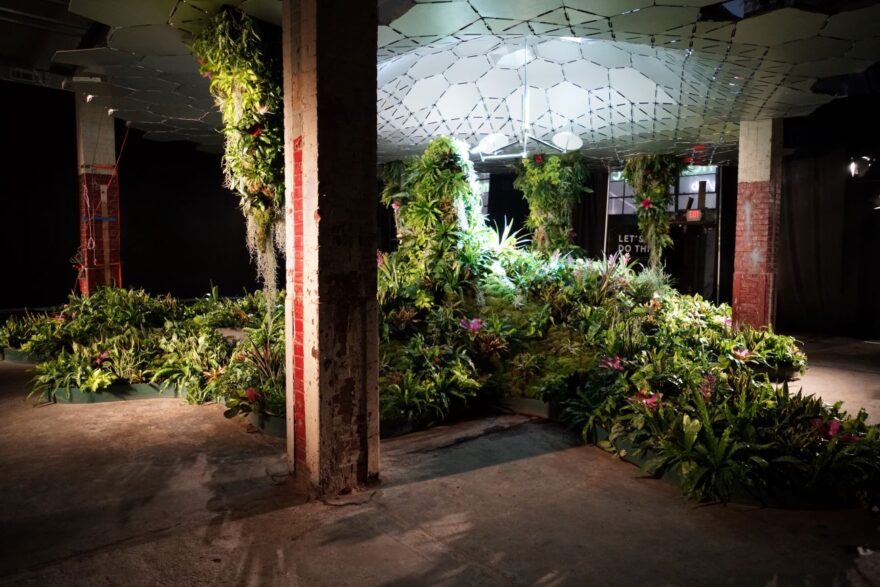 Lowline Lab Opens to the Public