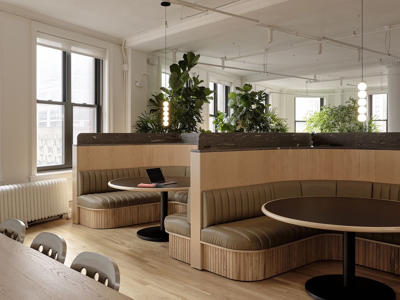 Large booths in plant-filled office space